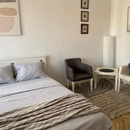 Nikola Ns2 Apartment Novi Sad Bagian luar foto