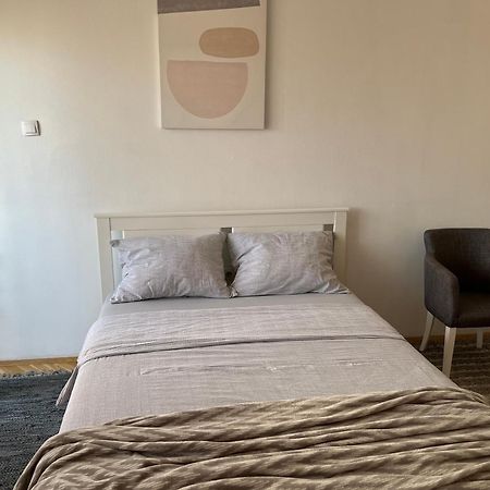 Nikola Ns2 Apartment Novi Sad Bagian luar foto