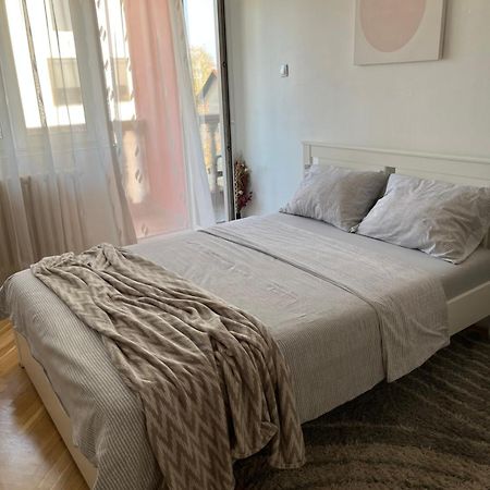 Nikola Ns2 Apartment Novi Sad Bagian luar foto
