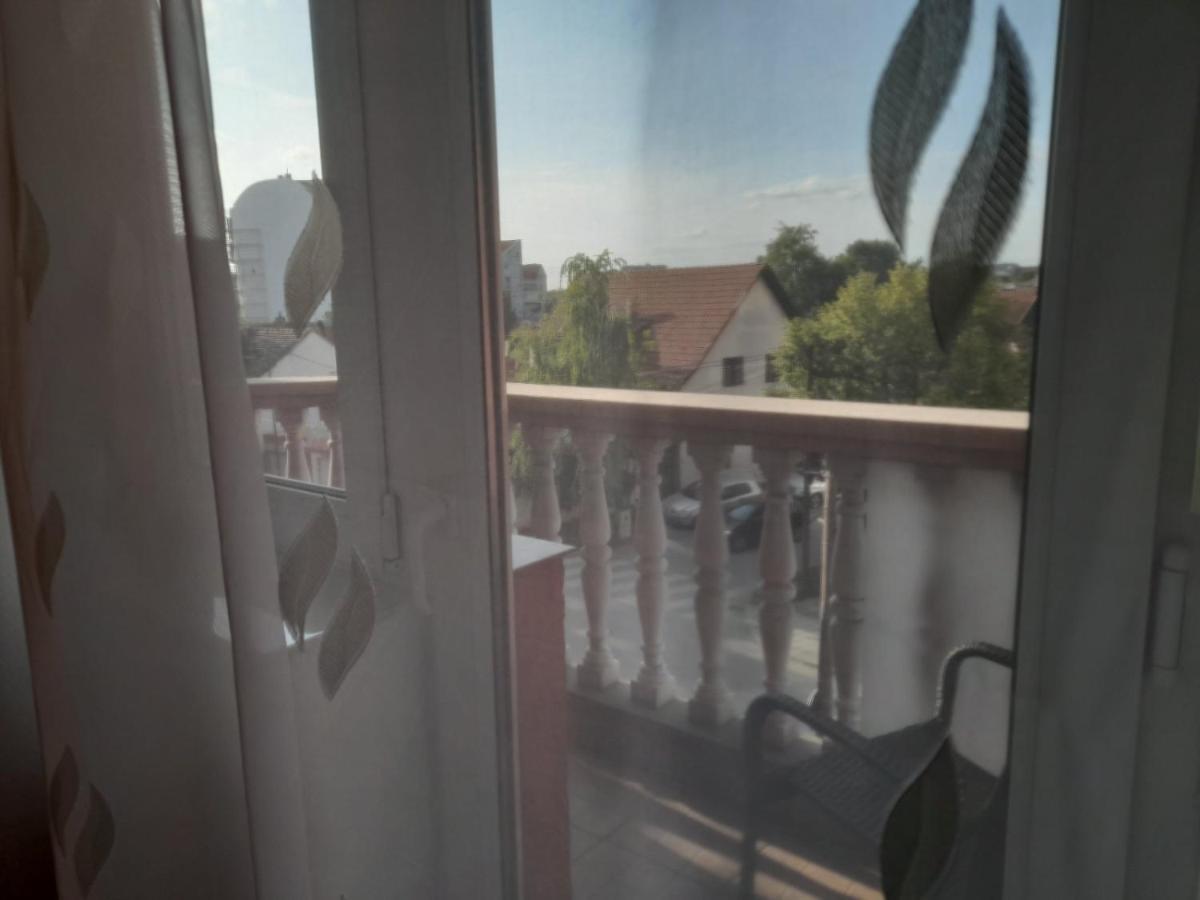 Nikola Ns2 Apartment Novi Sad Bagian luar foto