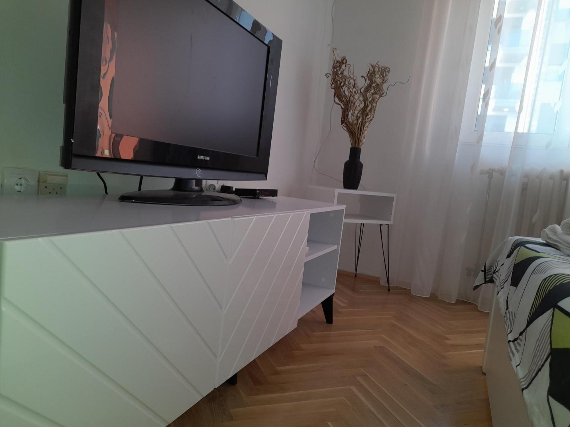 Nikola Ns2 Apartment Novi Sad Bagian luar foto