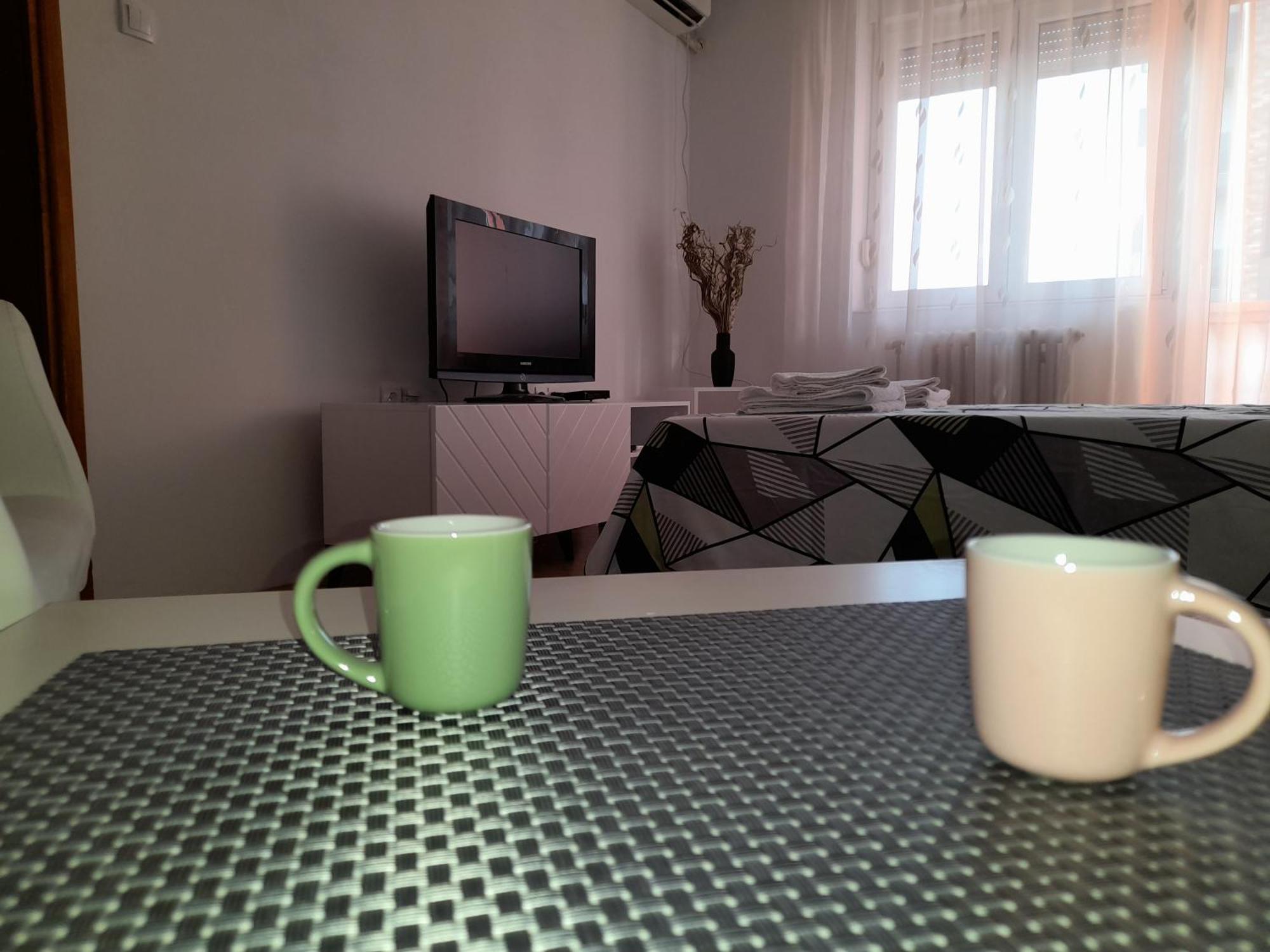 Nikola Ns2 Apartment Novi Sad Bagian luar foto