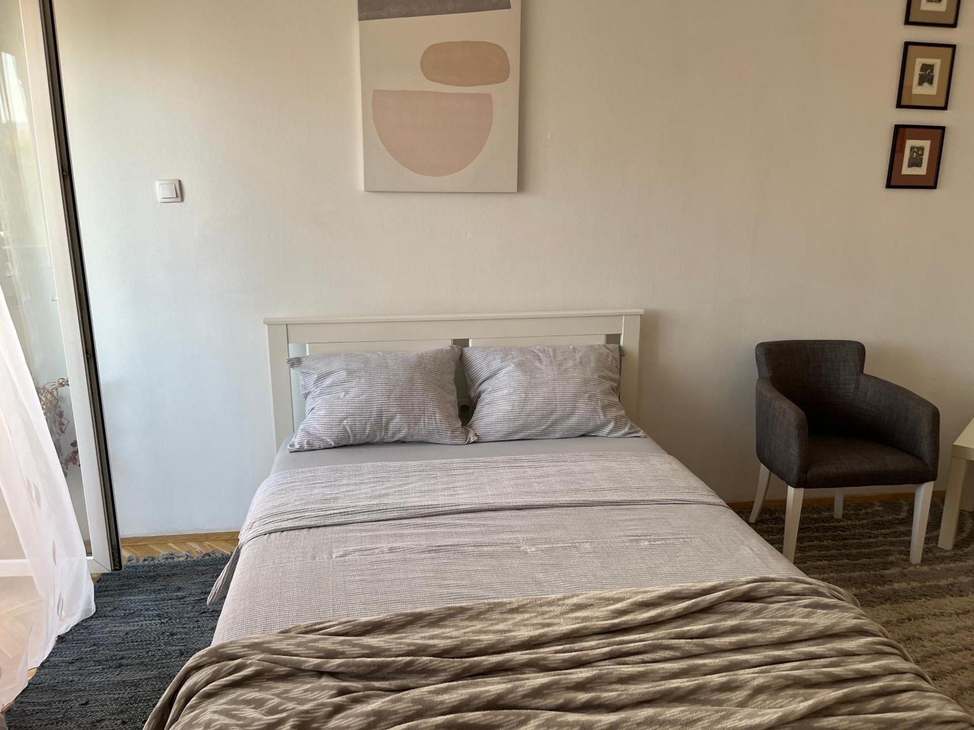 Nikola Ns2 Apartment Novi Sad Bagian luar foto
