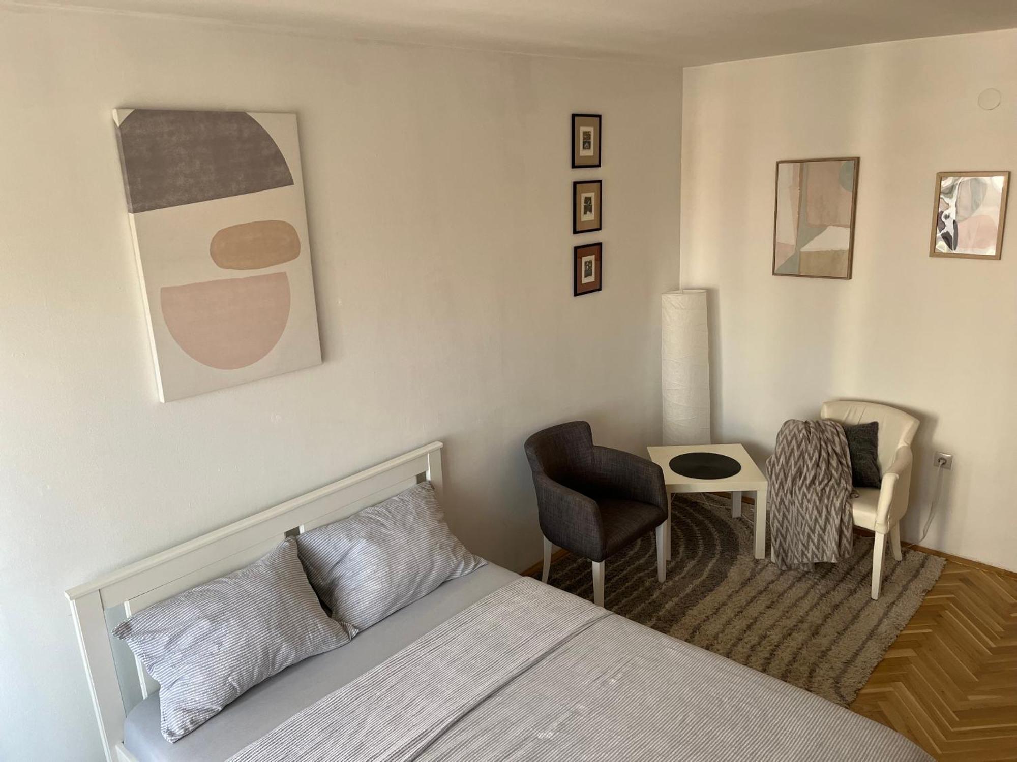 Nikola Ns2 Apartment Novi Sad Bagian luar foto