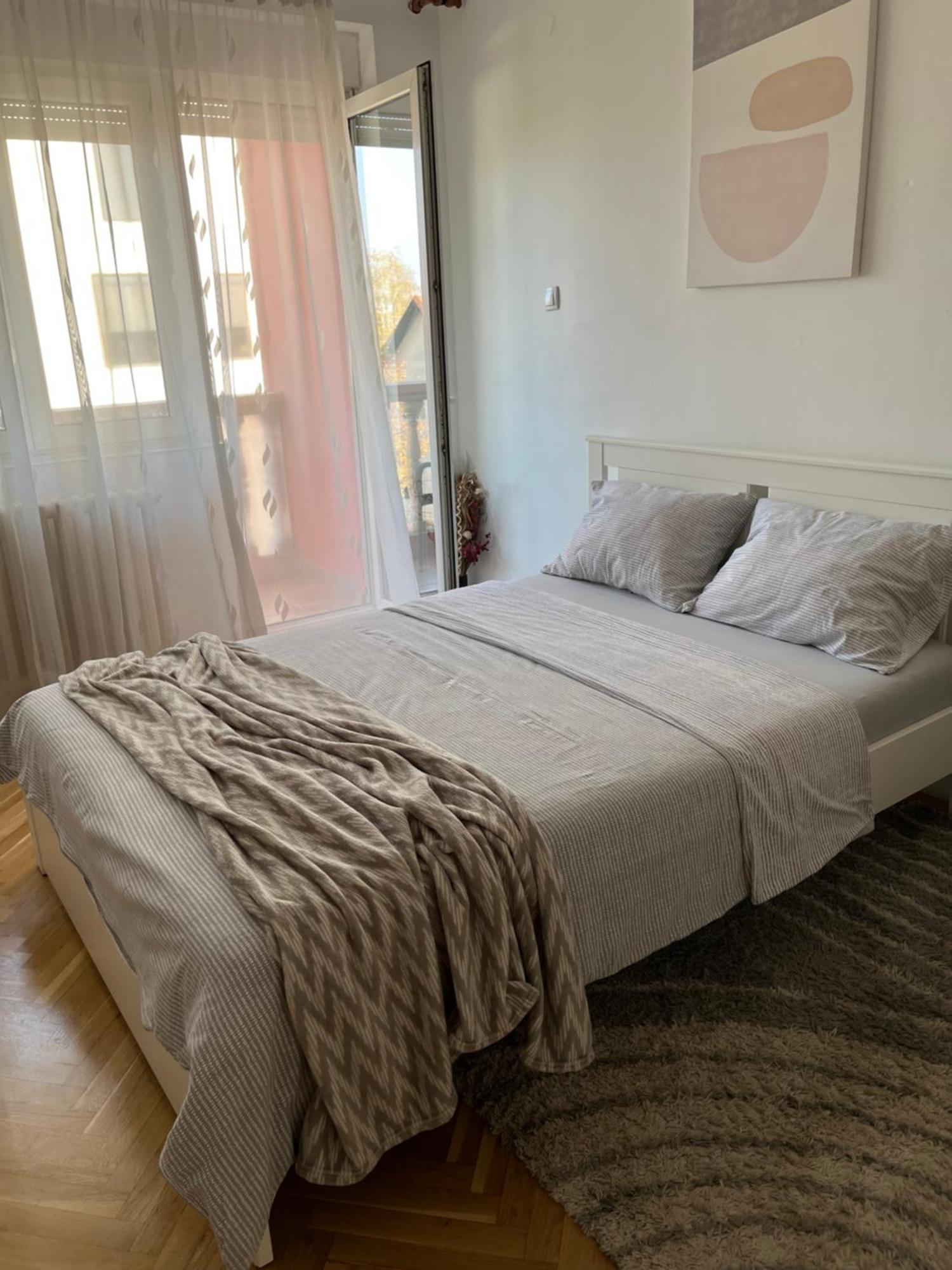 Nikola Ns2 Apartment Novi Sad Bagian luar foto